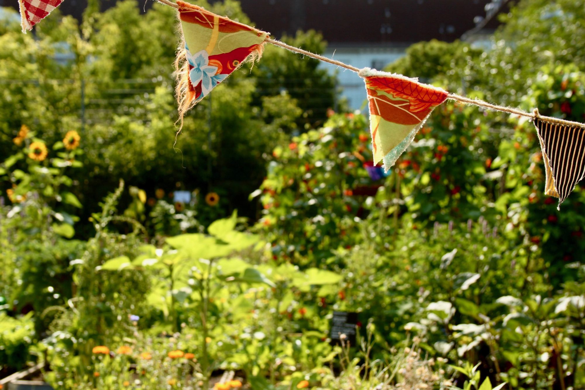 himmelbeet-auf-dem-alt-rixdorfer-weihnachtsmarkt-himmelbeet